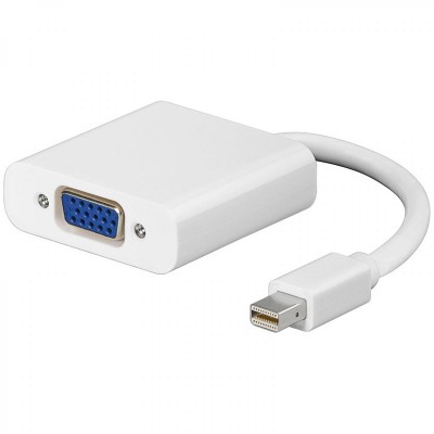 Display Port