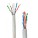 CAT6