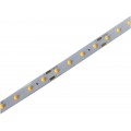 Avide LED Ταινία D-COB 12V 8W Θερμό 3000K IP44 5m Avide LED Ταινία D-COB 12V 8W Θερμό 3000K IP44 5m