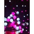 Modee Christmas LED Λαμπάκια Τύπου Berry με Βύσμα (100LED/10m/10cm) Ροζ & Ψυχρό Modee Christmas LED Λαμπάκια Τύπου Berry με Βύσμα (100LED/10m/10cm) Ροζ & Ψυχρό