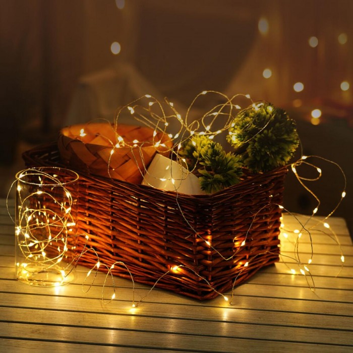 Modee Christmas Lighting LED Rope Copper with Adapter WW
