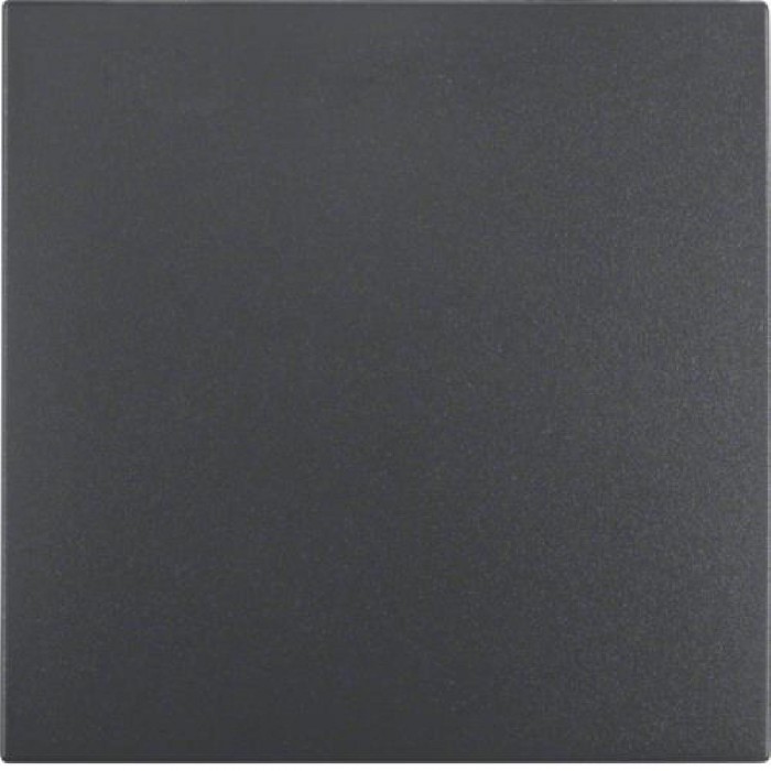 Μετώπη 1 Πλήκτρου Ανθρακί S.1/B.x BERKER