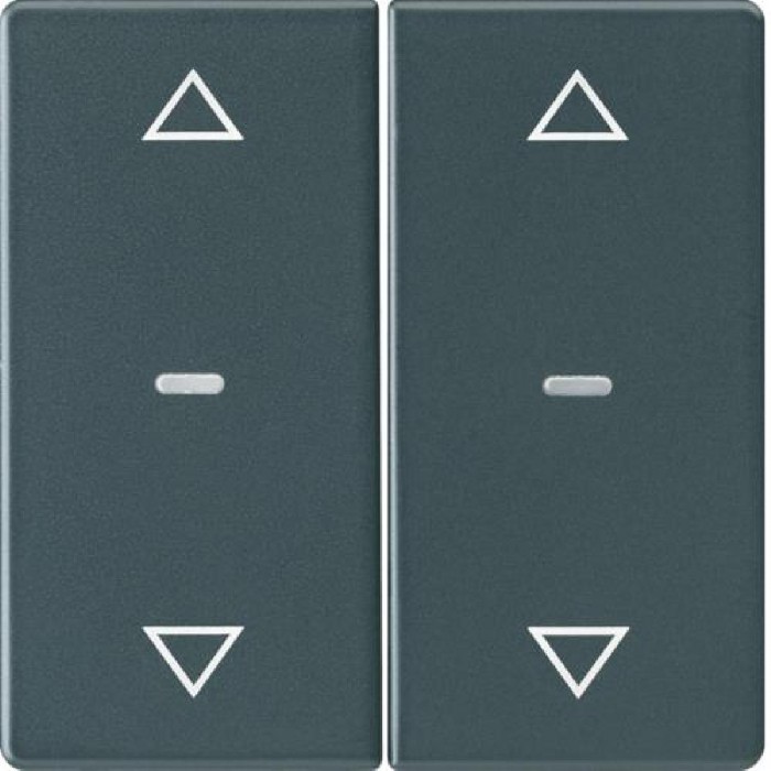 Μετώπη Μπουτόν KNX 2 Πλήκτρων Ρολών Ανθρακί Q.x BERKER