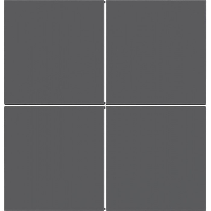 Μετώπη Bus Coupler KNX 2 Πλήκτρων Ανθρακί S.1/B.x BERKER