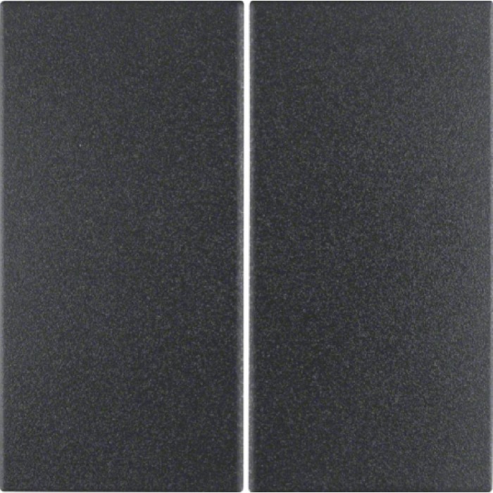 Μετώπη KNX Ασύρματη 2 Πλήκτρων Ανθρακί S.1/B.x 85648185 BERKER