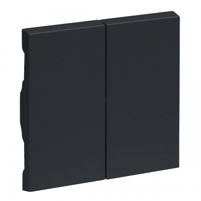 Μετώπη 2 πλήκτρων Ανθρακί Seano™ 765408 LEGRAND