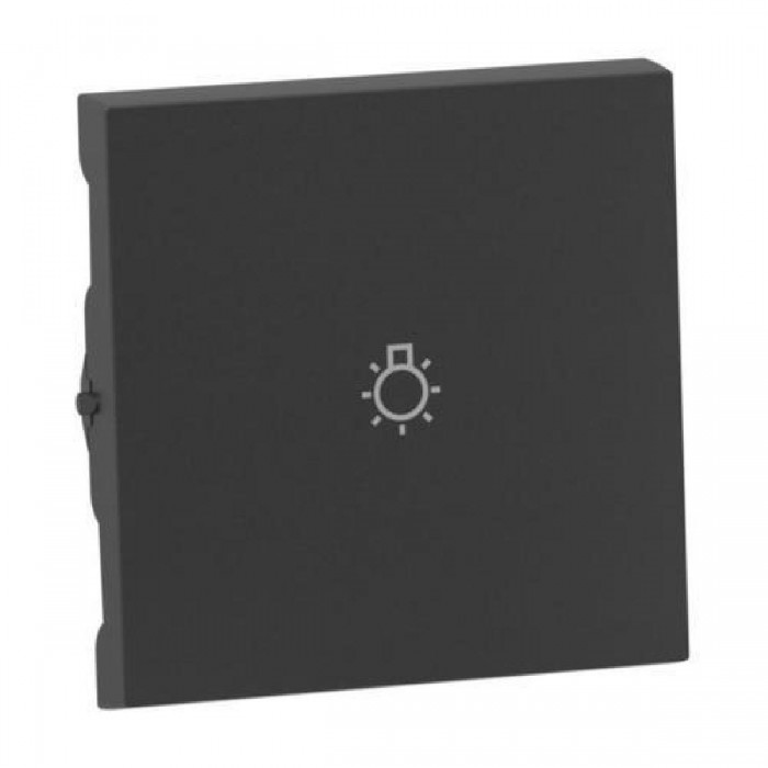 Μετώπη Σύμβολο Φως Ανθρακί Seano™ 765413 LEGRAND