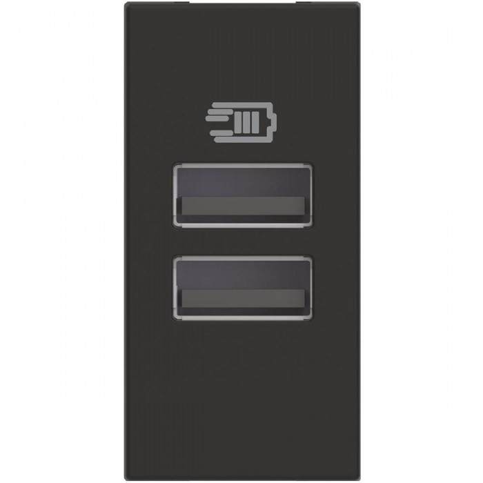 Πρίζα Φόρτισης USB Διπλή TypeA+A 1 Στοιχείου Μαύρο RG4191AA BTICINO