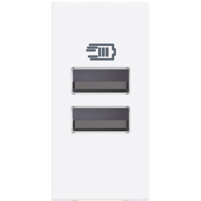 Πρίζα Φόρτισης USB Διπλή TypeA+A 1 Στοιχείου Λευκό RW4191AA BTICINO