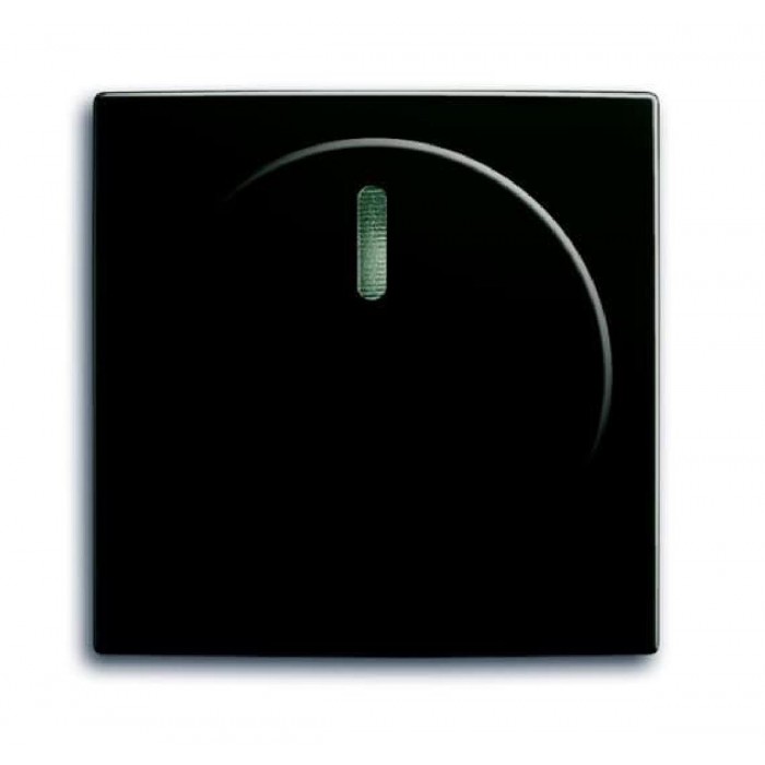 Μετώπη Περιστροφικού Dimmer Μαύρο 2115-95 Basic55 ABB