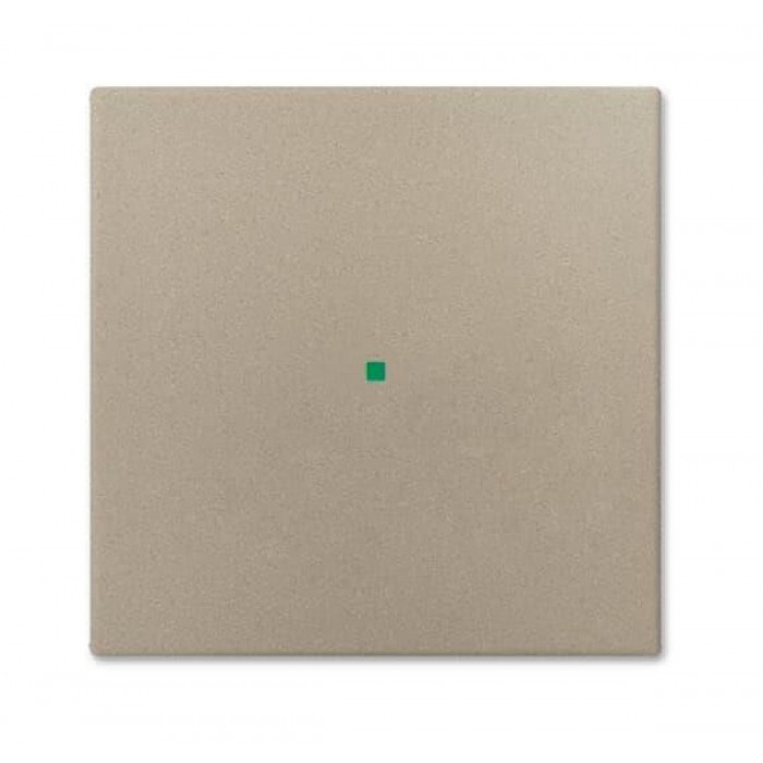 Μετώπη KNX 1 Πλήκτρου Σαμπάνια SR-1-93 Free@home Basic55 ABB