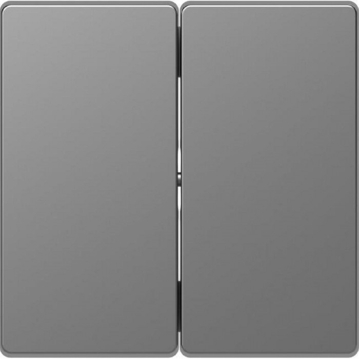 Μετώπη 2 Πλήκτρων Ατσάλι MEG3400-6036 D-Life MERTEN