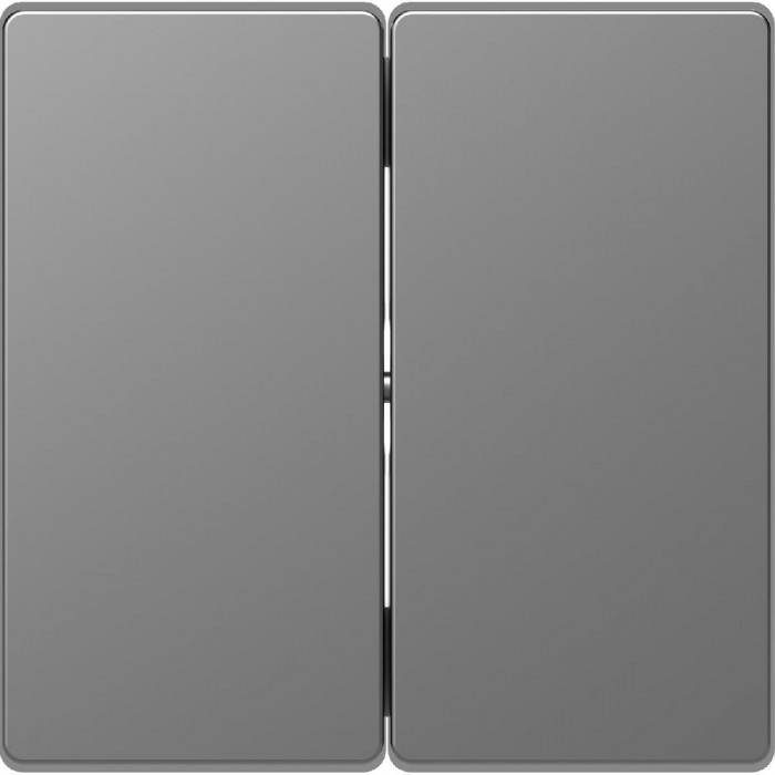 Μετώπη 2 Πλήκτρων Ατσάλι MTN3400-6036 D-Life MERTEN