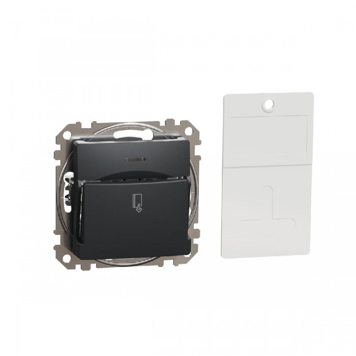 Καρτοδιακόπτης Ανθρακί SDD114121 Sedna SCHNEIDER ELECTRIC
