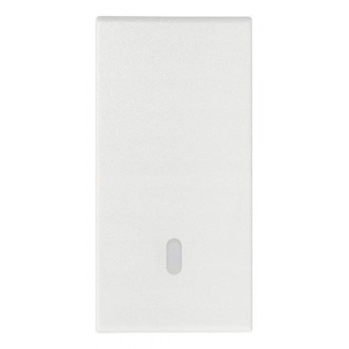 Εναλλάξιμο Πλήκτρο 1 Στοιχείου Γκρί 19021.1.B Arke VIMAR