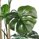 GloboStar® Artificial Garden MONSTERA 20006 Τεχνητό Διακοσμητικό Φυτό Μονστέρα Υ150cm GloboStar® Artificial Garden MONSTERA 20006 Τεχνητό Διακοσμητικό Φυτό Μονστέρα Υ150cm