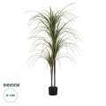 GloboStar® Artificial Garden DRAGON BLOOD TREE 20015 Τεχνητό Διακοσμητικό Φυτό Δράκαινα Υ150cm GloboStar® Artificial Garden DRAGON BLOOD TREE 20015 Τεχνητό Διακοσμητικό Φυτό Δράκαινα Υ150cm