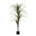 GloboStar® Artificial Garden DRAGON BLOOD TREE 20015 Τεχνητό Διακοσμητικό Φυτό Δράκαινα Υ150cm GloboStar® Artificial Garden DRAGON BLOOD TREE 20015 Τεχνητό Διακοσμητικό Φυτό Δράκαινα Υ150cm