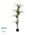GloboStar® Artificial Garden DRAGON BLOOD TREE 20016 Τεχνητό Διακοσμητικό Φυτό Δράκαινα Υ180cm