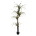 GloboStar® Artificial Garden DRAGON BLOOD TREE 20016 Τεχνητό Διακοσμητικό Φυτό Δράκαινα Υ180cm
