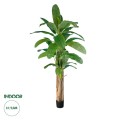 GloboStar® Artificial Garden BANANA TREE 20019 Τεχνητό Διακοσμητικό Φυτό Μπανανιά - Μπανανόδεντρο Υ280cm GloboStar® Artificial Garden BANANA TREE 20019 Τεχνητό Διακοσμητικό Φυτό Μπανανιά - Μπανανόδεντρο Υ280cm
