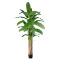 GloboStar® Artificial Garden BANANA TREE 20019 Τεχνητό Διακοσμητικό Φυτό Μπανανιά - Μπανανόδεντρο Υ280cm GloboStar® Artificial Garden BANANA TREE 20019 Τεχνητό Διακοσμητικό Φυτό Μπανανιά - Μπανανόδεντρο Υ280cm