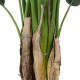 GloboStar® Artificial Garden STRELITZIA REGINAE 20032 Τεχνητό Διακοσμητικό Φυτό Στρελίτσια - Πουλί του Παραδείσου Υ140cm GloboStar® Artificial Garden STRELITZIA REGINAE 20032 Τεχνητό Διακοσμητικό Φυτό Στρελίτσια - Πουλί του Παραδείσου Υ140cm