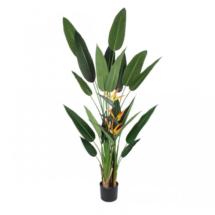 GloboStar® Artificial Garden STRELITZIA REGINAE 20033 Τεχνητό Διακοσμητικό Φυτό Στρελίτσια - Πουλί του Παραδείσου Υ180cm GloboStar® Artificial Garden STRELITZIA REGINAE 20033 Τεχνητό Διακοσμητικό Φυτό Στρελίτσια - Πουλί του Παραδείσου Υ180cm