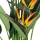 GloboStar® Artificial Garden STRELITZIA REGINAE 20033 Τεχνητό Διακοσμητικό Φυτό Στρελίτσια - Πουλί του Παραδείσου Υ180cm GloboStar® Artificial Garden STRELITZIA REGINAE 20033 Τεχνητό Διακοσμητικό Φυτό Στρελίτσια - Πουλί του Παραδείσου Υ180cm