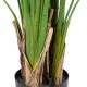 GloboStar® Artificial Garden STRELITZIA REGINAE 20033 Τεχνητό Διακοσμητικό Φυτό Στρελίτσια - Πουλί του Παραδείσου Υ180cm GloboStar® Artificial Garden STRELITZIA REGINAE 20033 Τεχνητό Διακοσμητικό Φυτό Στρελίτσια - Πουλί του Παραδείσου Υ180cm