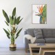 GloboStar® Artificial Garden STRELITZIA REGINAE 20033 Τεχνητό Διακοσμητικό Φυτό Στρελίτσια - Πουλί του Παραδείσου Υ180cm GloboStar® Artificial Garden STRELITZIA REGINAE 20033 Τεχνητό Διακοσμητικό Φυτό Στρελίτσια - Πουλί του Παραδείσου Υ180cm