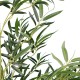 GloboStar® Artificial Garden BAMBOO 20038 Τεχνητό Διακοσμητικό Φυτό Μπαμπού Υ280cm