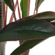 GloboStar® Artificial Garden MELANY FICUS 20040 Τεχνητό Διακοσμητικό Φυτό Φίκος Υ120cm GloboStar® Artificial Garden MELANY FICUS 20040 Τεχνητό Διακοσμητικό Φυτό Φίκος Υ120cm