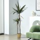 GloboStar® Artificial Garden AGAVE 20045 Τεχνητό Διακοσμητικό Φυτό Αγαύη Υ172cm GloboStar® Artificial Garden AGAVE 20045 Τεχνητό Διακοσμητικό Φυτό Αγαύη Υ172cm