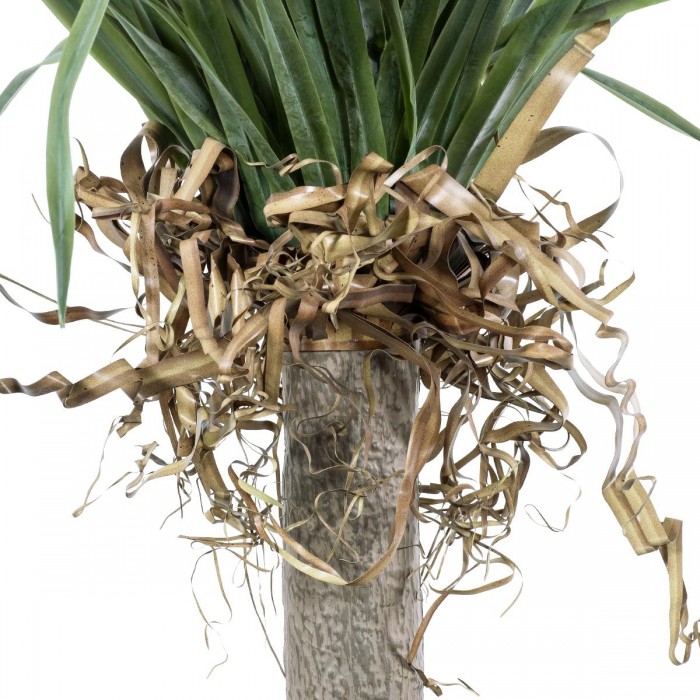 GloboStar® Artificial Garden BEAUCARNEA PALM TREE 20046 Τεχνητό Διακοσμητικό Φυτό Κυρτόφυλλος Μπουκαρνέα Υ165cm