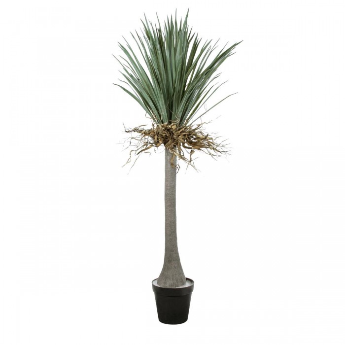 GloboStar® Artificial Garden BEAUCARNEA PALM TREE 20047 Τεχνητό Διακοσμητικό Φυτό Κυρτόφυλλος Μπουκαρνέα Υ200cm