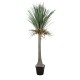 GloboStar® Artificial Garden BEAUCARNEA PALM TREE 20047 Τεχνητό Διακοσμητικό Φυτό Κυρτόφυλλος Μπουκαρνέα Υ200cm