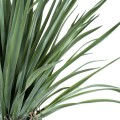 GloboStar® Artificial Garden BEAUCARNEA PALM TREE 20048 Τεχνητό Διακοσμητικό Φυτό Κυρτόφυλλος Μπουκαρνέα Υ250cm GloboStar® Artificial Garden BEAUCARNEA PALM TREE 20048 Τεχνητό Διακοσμητικό Φυτό Κυρτόφυλλος Μπουκαρνέα Υ250cm