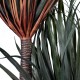 GloboStar® Artificial Garden PANDANUS TREE 20049 Τεχνητό Διακοσμητικό Φυτό Πάνδανος Υ160cm GloboStar® Artificial Garden PANDANUS TREE 20049 Τεχνητό Διακοσμητικό Φυτό Πάνδανος Υ160cm