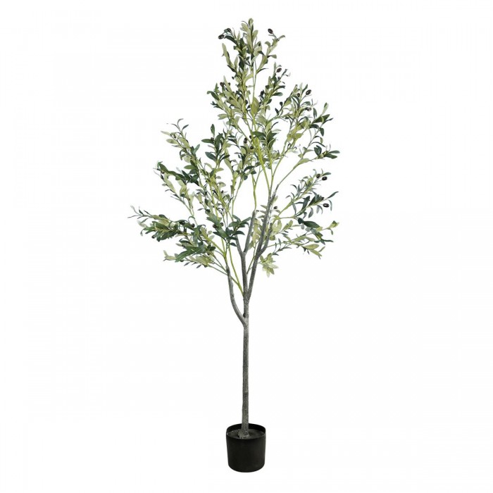 GloboStar® Artificial Garden OLIVE TREE 20054 Τεχνητό Διακοσμητικό Φυτό Ελιά Υ180cm GloboStar® Artificial Garden OLIVE TREE 20054 Τεχνητό Διακοσμητικό Φυτό Ελιά Υ180cm