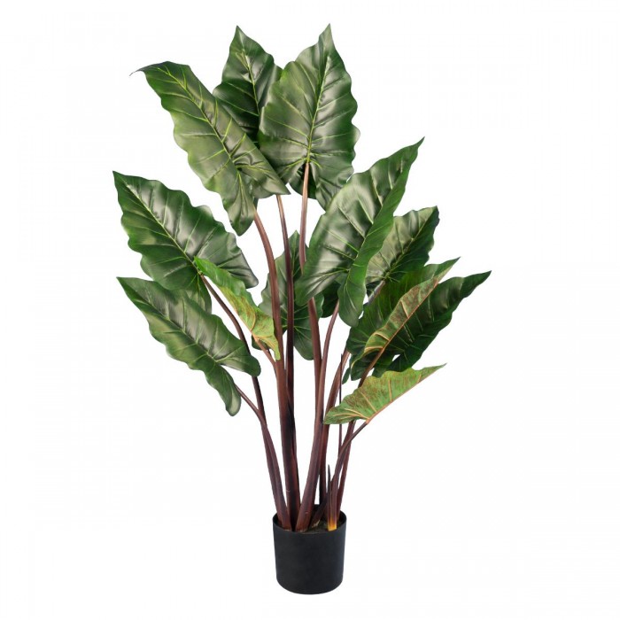 GloboStar® Artificial Garden RAINBOW TARO 20055 Τεχνητό Διακοσμητικό Φυτό Κολοκασία Υ140cm GloboStar® Artificial Garden RAINBOW TARO 20055 Τεχνητό Διακοσμητικό Φυτό Κολοκασία Υ140cm