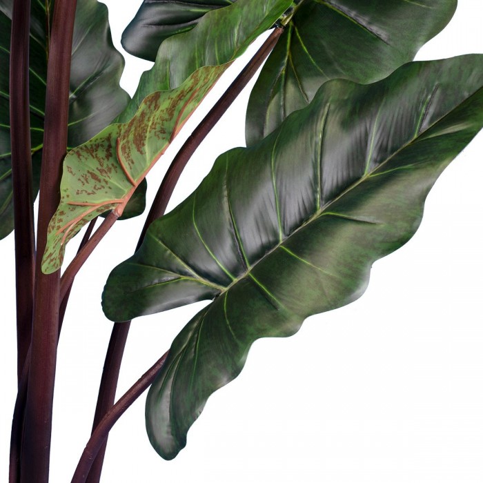 GloboStar® Artificial Garden RAINBOW TARO 20055 Τεχνητό Διακοσμητικό Φυτό Κολοκασία Υ140cm GloboStar® Artificial Garden RAINBOW TARO 20055 Τεχνητό Διακοσμητικό Φυτό Κολοκασία Υ140cm