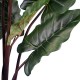 GloboStar® Artificial Garden RAINBOW TARO 20055 Τεχνητό Διακοσμητικό Φυτό Κολοκασία Υ140cm GloboStar® Artificial Garden RAINBOW TARO 20055 Τεχνητό Διακοσμητικό Φυτό Κολοκασία Υ140cm
