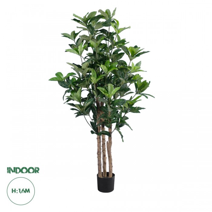 GloboStar® Artificial Garden FORTUNE GUIANA TREE 20056 Τεχνητό Διακοσμητικό Φυτό Καστανιά του Μαλαμπάρ Υ160cm GloboStar® Artificial Garden FORTUNE GUIANA TREE 20056 Τεχνητό Διακοσμητικό Φυτό Καστανιά του Μαλαμπάρ Υ160cm