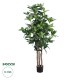 GloboStar® Artificial Garden FORTUNE GUIANA TREE 20056 Τεχνητό Διακοσμητικό Φυτό Καστανιά του Μαλαμπάρ Υ160cm GloboStar® Artificial Garden FORTUNE GUIANA TREE 20056 Τεχνητό Διακοσμητικό Φυτό Καστανιά του Μαλαμπάρ Υ160cm