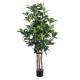 GloboStar® Artificial Garden FORTUNE GUIANA TREE 20056 Τεχνητό Διακοσμητικό Φυτό Καστανιά του Μαλαμπάρ Υ160cm GloboStar® Artificial Garden FORTUNE GUIANA TREE 20056 Τεχνητό Διακοσμητικό Φυτό Καστανιά του Μαλαμπάρ Υ160cm
