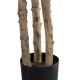 GloboStar® Artificial Garden FORTUNE GUIANA TREE 20056 Τεχνητό Διακοσμητικό Φυτό Καστανιά του Μαλαμπάρ Υ160cm GloboStar® Artificial Garden FORTUNE GUIANA TREE 20056 Τεχνητό Διακοσμητικό Φυτό Καστανιά του Μαλαμπάρ Υ160cm