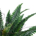 GloboStar® Artificial Garden FERN 20058 Τεχνητό Διακοσμητικό Φυτό Φτέρη Υ40cm