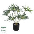 GloboStar® Artificial Garden BROADLEAF LADY PALM 20059 Τεχνητό Διακοσμητικό Φυτό Πλατύφυλλος Φοίνικας Μπαμπού Υ50cm GloboStar® Artificial Garden BROADLEAF LADY PALM 20059 Τεχνητό Διακοσμητικό Φυτό Πλατύφυλλος Φοίνικας Μπαμπού Υ50cm