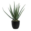 GloboStar® Artificial Garden ALOE 20065 Τεχνητό Διακοσμητικό Φυτό Αλόη Υ50cm